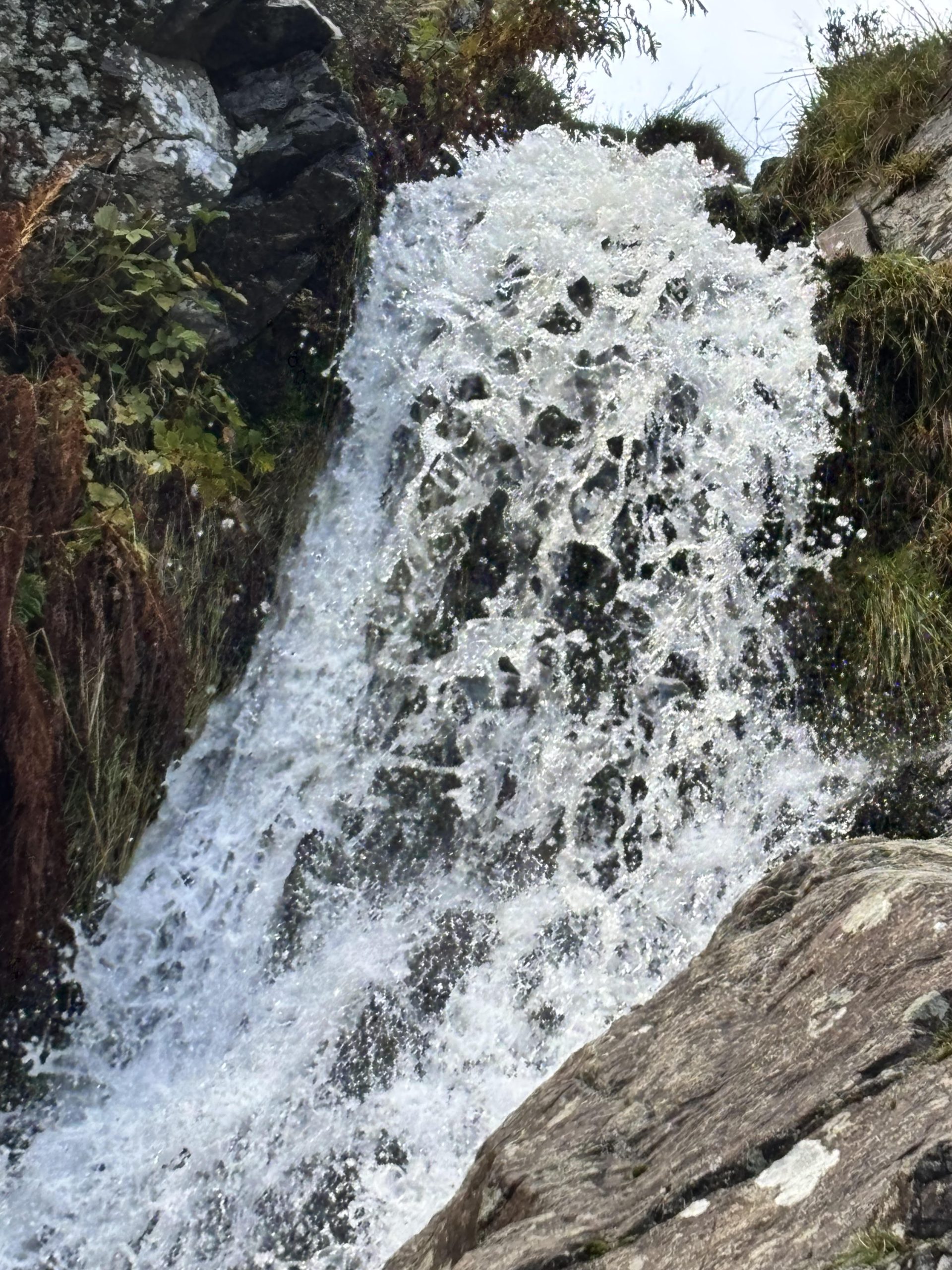 Reflections about Water – The Source of Life